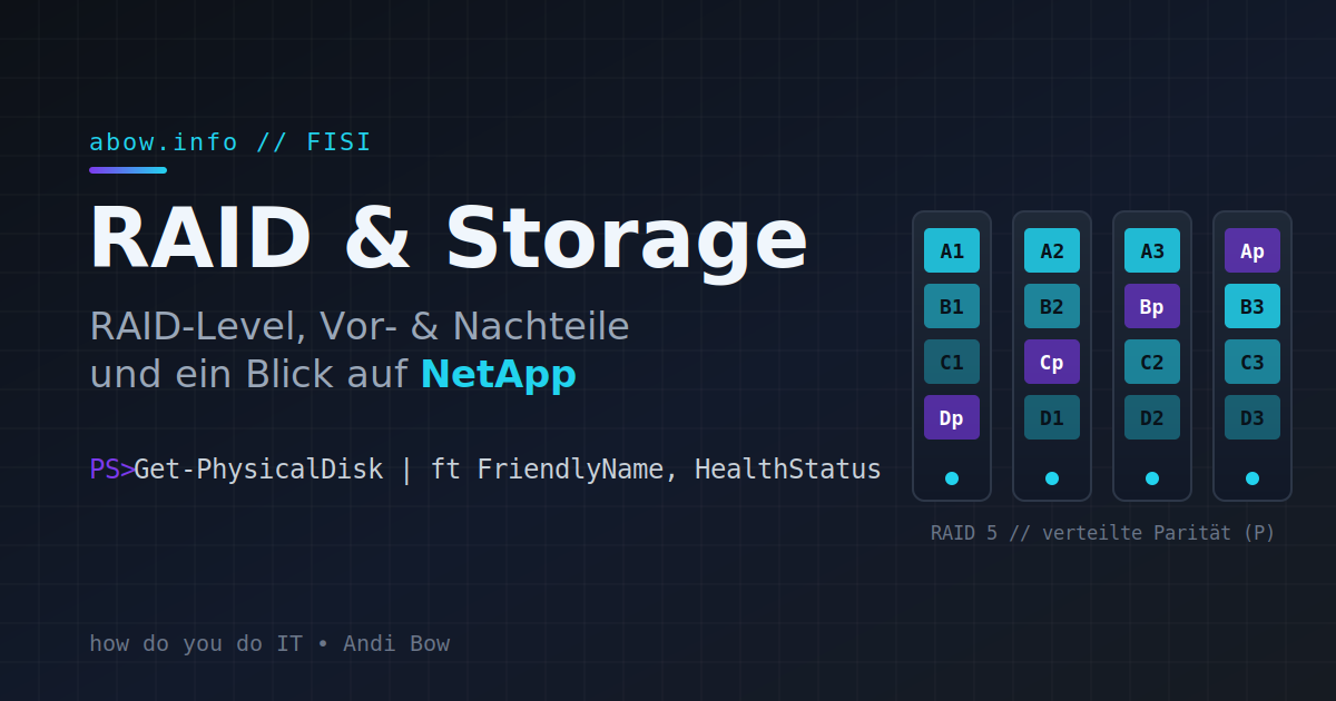 FISI // RAID-Level, Vor- & Nachteile und ein Blick auf Storage (inkl. NetApp)